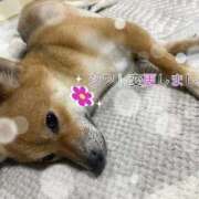 ヒメ日記 2026/04/05 20:16 投稿 木下あけみ MADAM