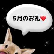 ヒメ日記 2026/05/31 23:16 投稿 木下あけみ MADAM