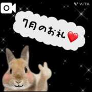 ヒメ日記 2026/08/11 19:47 投稿 木下あけみ MADAM