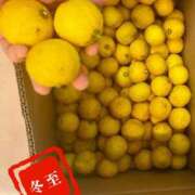 ヒメ日記 2025/12/22 12:16 投稿 宮本なおこ MADAM