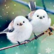 ヒメ日記 2025/12/26 16:46 投稿 宮本なおこ MADAM