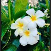 ヒメ日記 2026/01/27 17:16 投稿 宮本なおこ MADAM