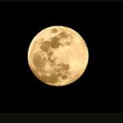 ヒメ日記 2026/02/02 06:46 投稿 宮本なおこ MADAM