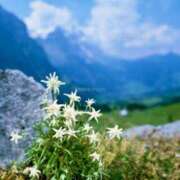 ヒメ日記 2026/02/13 06:16 投稿 宮本なおこ MADAM