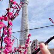 ヒメ日記 2026/02/22 12:16 投稿 宮本なおこ MADAM