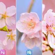 ヒメ日記 2026/03/03 06:16 投稿 宮本なおこ MADAM