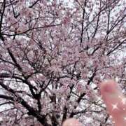 ヒメ日記 2026/03/31 17:16 投稿 宮本なおこ MADAM