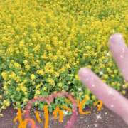 ヒメ日記 2026/04/24 13:31 投稿 宮本なおこ MADAM