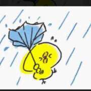 ヒメ日記 2026/06/03 06:46 投稿 宮本なおこ MADAM