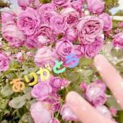 ヒメ日記 2026/06/11 13:16 投稿 宮本なおこ MADAM