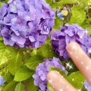 ヒメ日記 2026/06/12 06:46 投稿 宮本なおこ MADAM