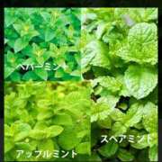 ヒメ日記 2026/06/20 06:16 投稿 宮本なおこ MADAM
