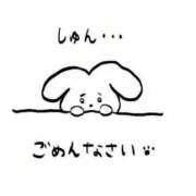 ヒメ日記 2026/07/14 06:16 投稿 宮本なおこ MADAM