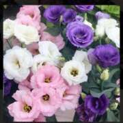ヒメ日記 2026/07/20 07:46 投稿 宮本なおこ MADAM