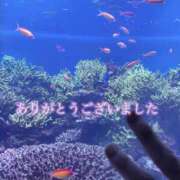 ヒメ日記 2026/07/29 23:46 投稿 宮本なおこ MADAM