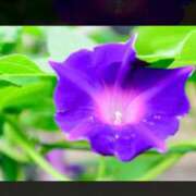 ヒメ日記 2026/08/02 08:16 投稿 宮本なおこ MADAM