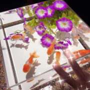 ヒメ日記 2026/08/02 12:01 投稿 宮本なおこ MADAM