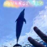 ヒメ日記 2026/08/04 23:31 投稿 宮本なおこ MADAM