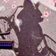 ヒメ日記 2026/08/05 17:16 投稿 宮本なおこ MADAM