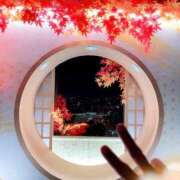 ヒメ日記 2026/09/29 06:01 投稿 宮本なおこ MADAM