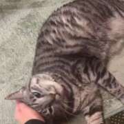 ヒメ日記 2026/01/03 20:16 投稿 えま CUTE