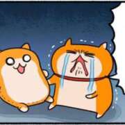 ヒメ日記 2026/01/25 18:01 投稿 えま CUTE