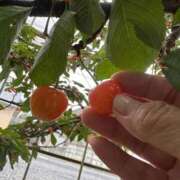 ヒメ日記 2026/06/13 08:16 投稿 椎名りん MADAM