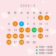 ヒメ日記 2026/03/30 19:16 投稿 桃瀬あやめ 華椿