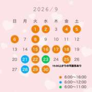 ヒメ日記 2026/09/01 00:01 投稿 桃瀬あやめ 華椿