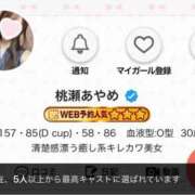 ヒメ日記 2026/09/26 22:01 投稿 桃瀬あやめ 華椿