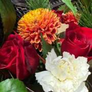 ヒメ日記 2025/12/27 19:01 投稿 足立まなみ MADAM