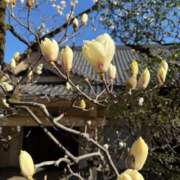 ヒメ日記 2026/03/20 07:16 投稿 足立まなみ MADAM
