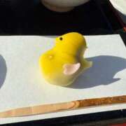 ヒメ日記 2026/04/07 13:31 投稿 足立まなみ MADAM