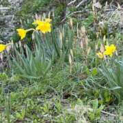 ヒメ日記 2026/04/15 23:16 投稿 足立まなみ MADAM