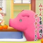 ヒメ日記 2026/02/11 19:46 投稿 葛西しおり MADAM