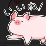 ヒメ日記 2026/02/15 05:31 投稿 葛西しおり MADAM