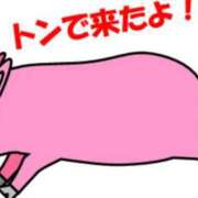 ヒメ日記 2026/04/04 06:31 投稿 葛西しおり MADAM