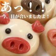 ヒメ日記 2026/08/08 05:31 投稿 葛西しおり MADAM