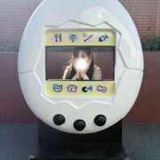 ヒメ日記 2026/01/14 18:16 投稿 永瀬ゆずき 華椿