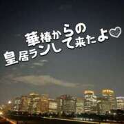 ヒメ日記 2025/12/17 22:31 投稿 多部えみ 華椿