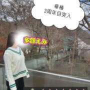 ヒメ日記 2025/12/28 08:31 投稿 多部えみ 華椿