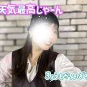 ヒメ日記 2026/01/16 10:46 投稿 多部えみ 華椿