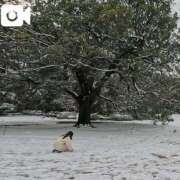 ヒメ日記 2026/02/13 14:31 投稿 多部えみ 華椿