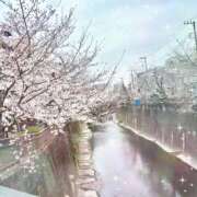 ヒメ日記 2026/03/27 13:31 投稿 長谷川えみり MADAM
