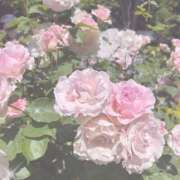 ヒメ日記 2026/06/01 14:16 投稿 長谷川えみり MADAM