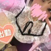 ヒメ日記 2026/03/14 10:31 投稿 藤田こはる 華椿