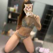 ヒメ日記 2026/04/12 09:31 投稿 原みなみ 華椿