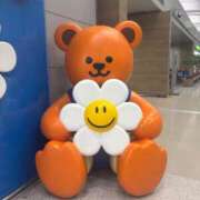 ヒメ日記 2025/12/31 18:16 投稿 のあ CUTE