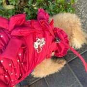 ヒメ日記 2026/01/16 00:46 投稿 柴崎ななこ MADAM