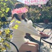 ヒメ日記 2026/01/23 20:46 投稿 柴崎ななこ MADAM